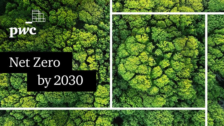 PwC commits to net zero by 2030, globally