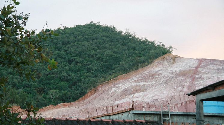 Skovrydning i Brasilien. Her er kvægdrift og produktion af dyrefoder blandt de største årsager til at skoven fældes. Foto: Wikipedia / Creative Commons