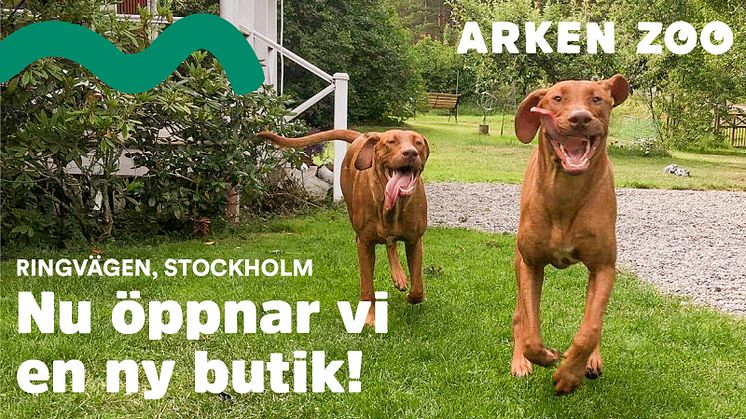 Hej alla djurägare på Söder! Arken Zoo öppnar ny butik på Södermalm