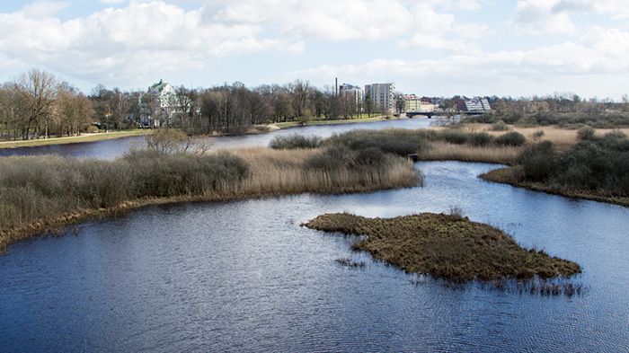 Vattenriket, biosfärområde i centrala Kristianstad, Skåne.  Foto: Leif Ingvarson  