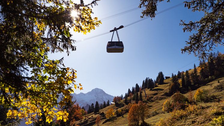 Luftseilbahn Mürren-Birg in herbstlicher Kulisse.