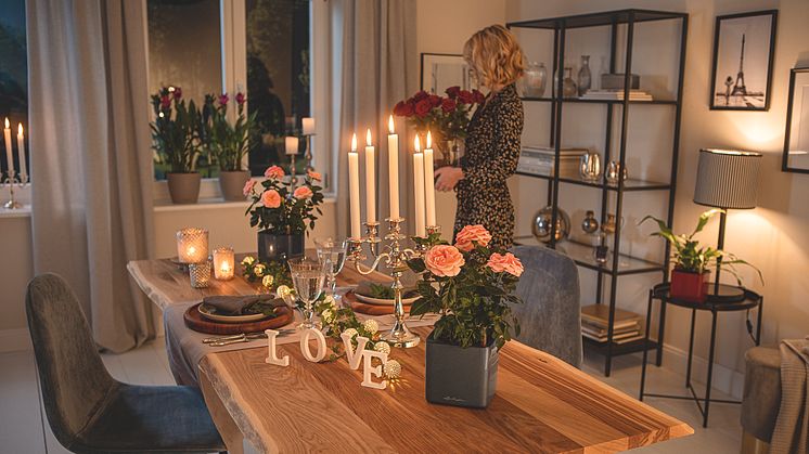 Let Love Grow - Bunte Blumen zum Valentinstag