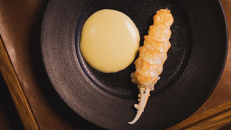 Norwegian langoustine