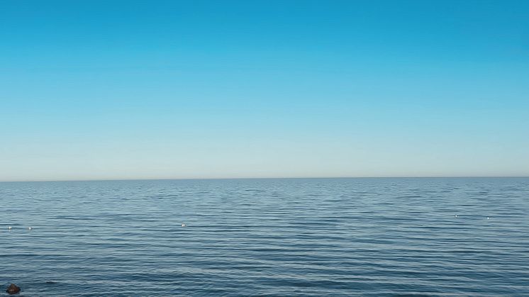 Sommarledigt, Kal P Dal-filmen på turné och lästips