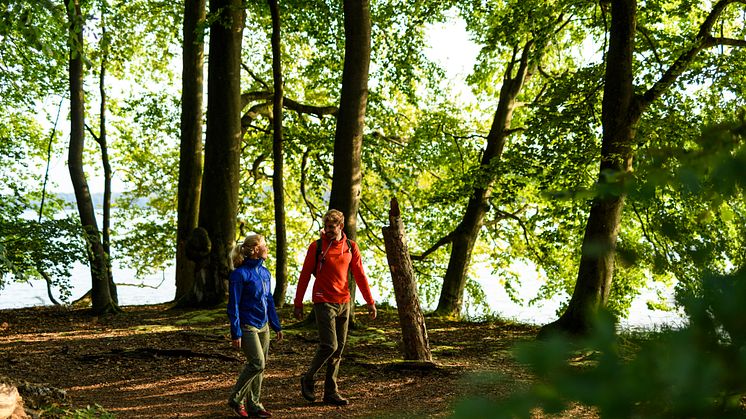 Wandern am Wasser, das kann man in Brandenburg an sehr vielen Seen. So beispielsweise auch am Stechlinsee im Ruppiner Seenland. Foto: TMB-Fotoarchiv/Wolfgang Ehn.    