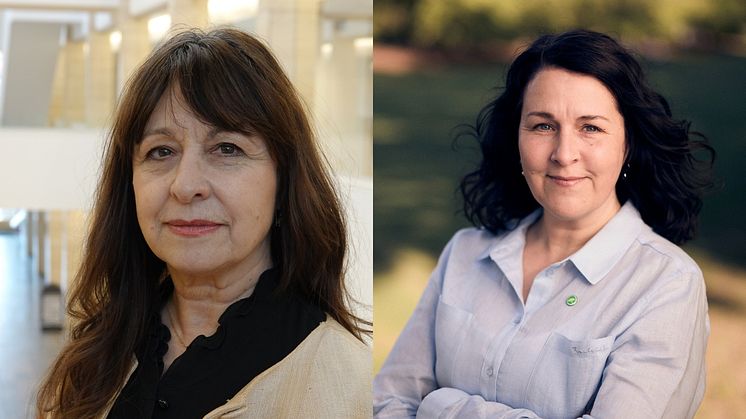 Region Skåne bör ta ansvar för våldsutsatta medarbetare