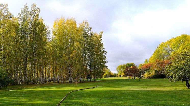 En park i världsklass