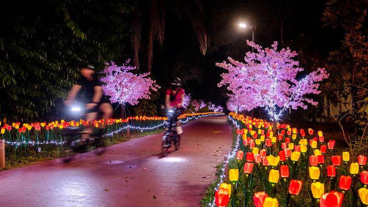Dino Dazzle - more than 10,000 blooms of illuminated flowers.jpg