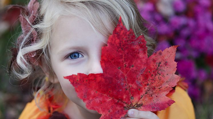 Mange foreldre venter lenge med å sende barnet til en synsundersøkelse. Foto: Unsplash