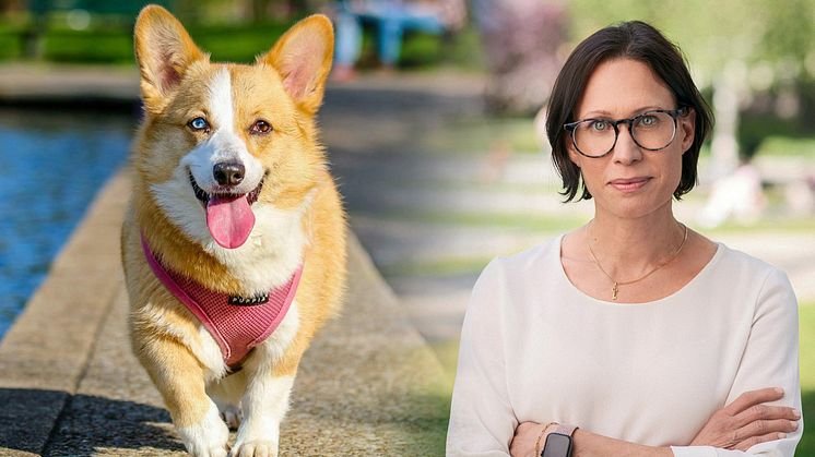 Åsa Hauer, försäkringsexpert på Zmarta, ger råd om rätt hundförsäkring för dina behov.