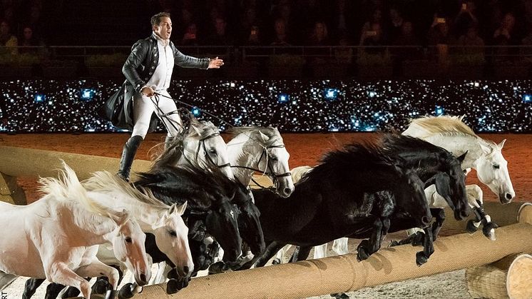 Lorenzo är tillbaka till Sweden International Horse Show i år.