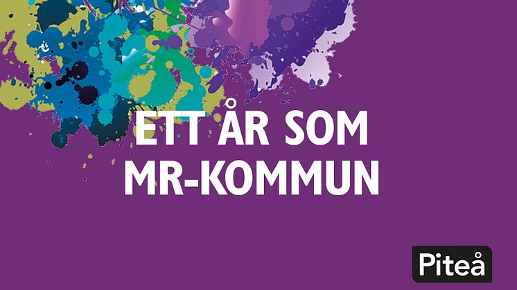 Ett år efter utropandet till MR-kommun: Arbetet för Ett Piteå för alla fortsätter