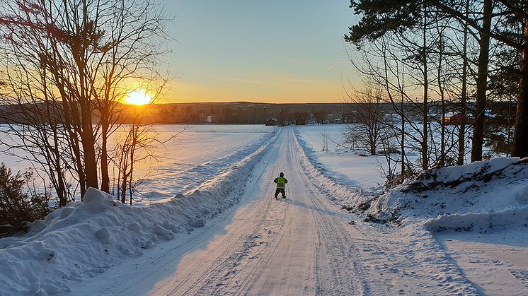 Det finns cirka 80 enskilda vägar idag i Piteå kommun som endast har kommunalt bidrag. Foto: Marie Öqvist