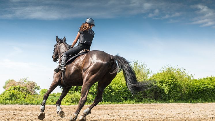 Equilab är en träningsapp för ryttare som även analyserar hästens rörelsemönster för att kunna beskriva hur hästen arbetat under ridturen. 