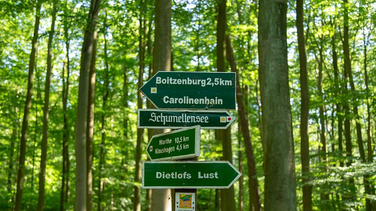 Mit rund 150 Kilometern ist die Uckermärker Landrunde der längste Rundwanderweg von sieben Qualitätswanderwegen in Brandenburg. Foto: TMB-Fotoarchiv/Steffen Lehmann.