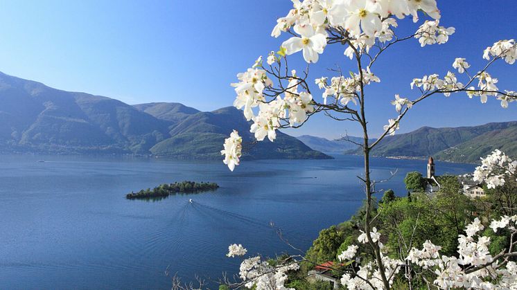 Frühlingswanderung am Lago Maggiore