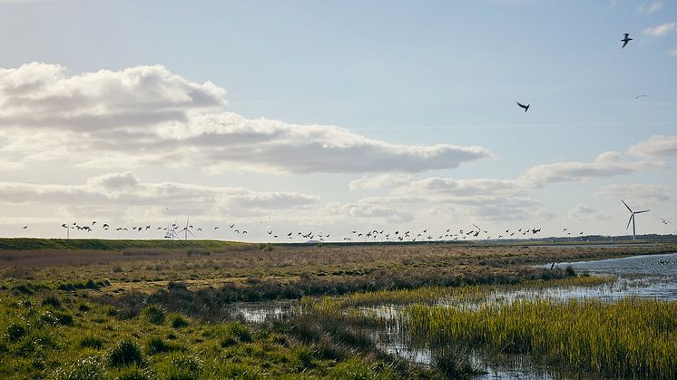 Wadden Sea partnership header