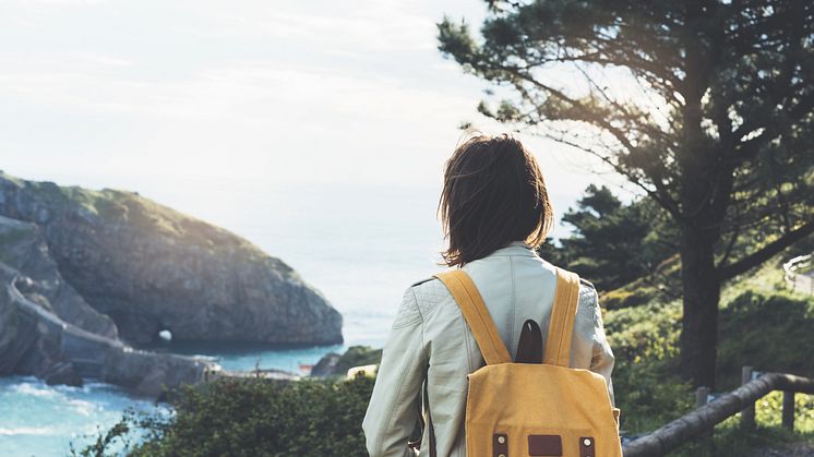 Studieren in Neuseeland – Kleines Land mit großen Chancen