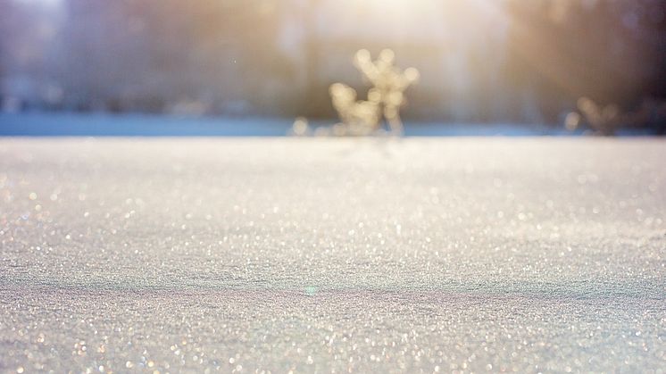 Utöver att dela ut finalbiljetter kommer inom projektet besök att göras i SFI-klasser för att bland annat berätta om bandy och andra is- och snösporter. Foto: Pixabay