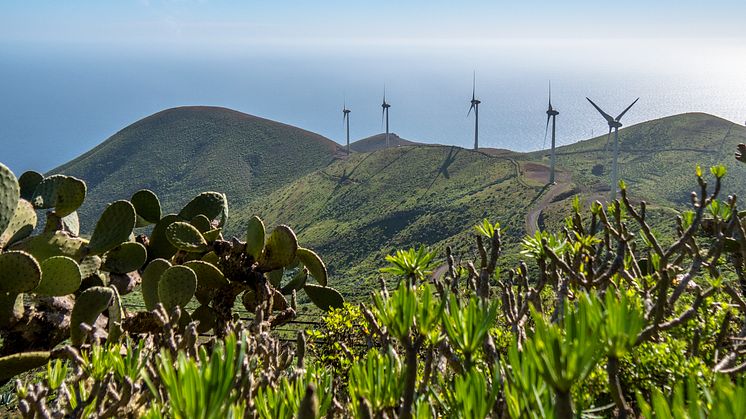 Njut av den gröna naturen på Kanarieöarna, en del av The Smart Islands Initiative. Foto: Canary Islands Tourism. 