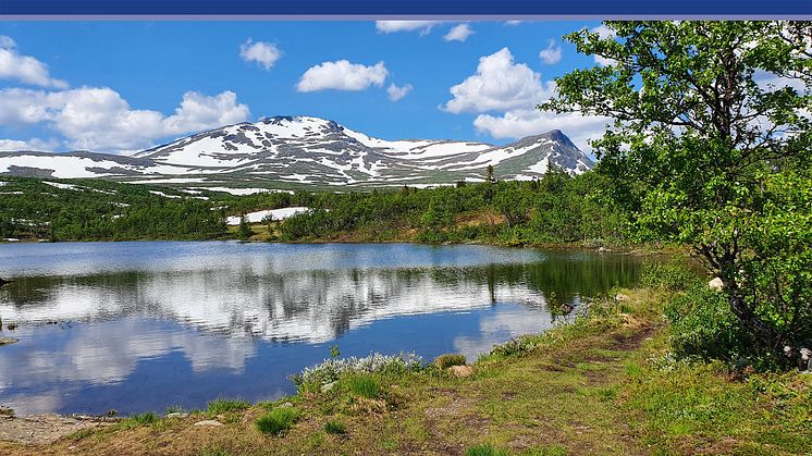 Bemannia tecknar avtal med 8 kommuner via Upphandlingskontoret i Jämtlands län.