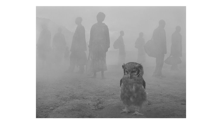 © Nick Brandt, Harriet and People in Fog - Zimbabwe 2020 - Courtesy WILLAS contemporary