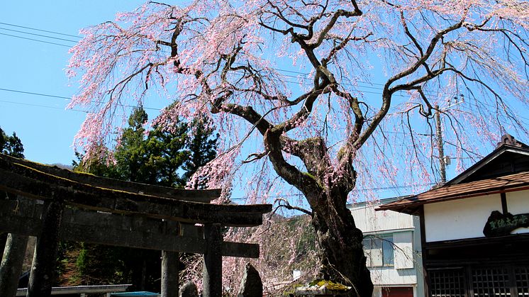 Kokuzoson temple