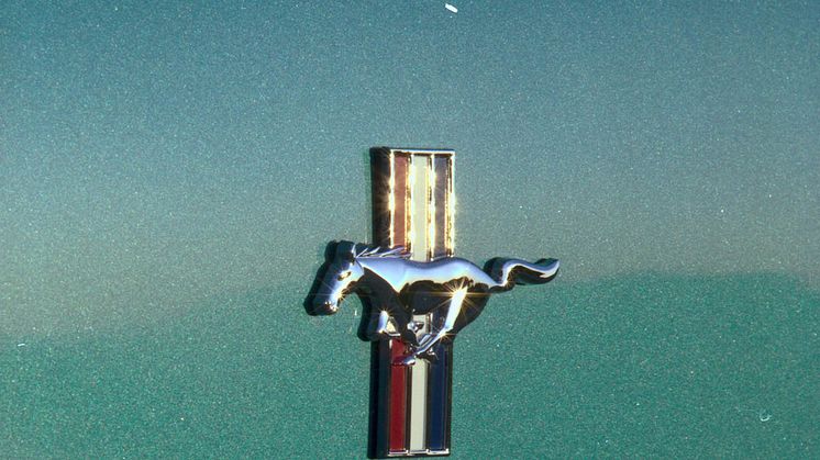 Ford Mustang äänestettiin Euroopan halutuimmaksi klassikkoautoksi − jopa ennen ikonisen auton saapumista Eurooppaan