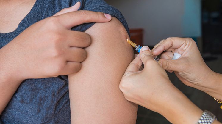 Enligt en ny undersökning missar många påfyllnadsdoser av TBE vaccin och riskerar därför att inte ha fullgott skydd
