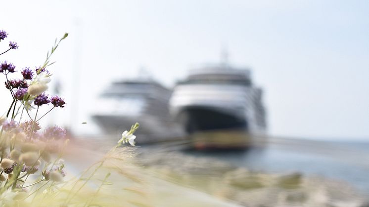 Sustainable Cruise Tourism