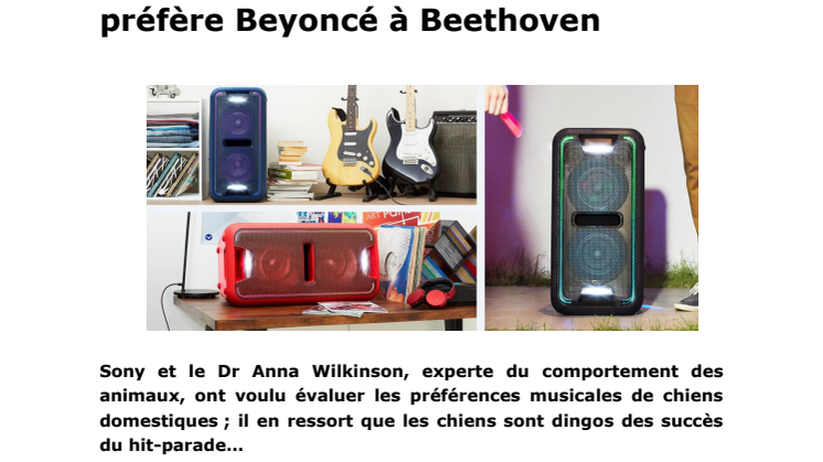 DES HAUT-PARLEURS DE WOUF ! C’est officiel : la gente canine préfère Beyoncé à Beethoven