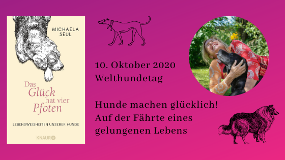 Welthundetag am 10. Oktober 2020: Das Glück hat vier Pfoten