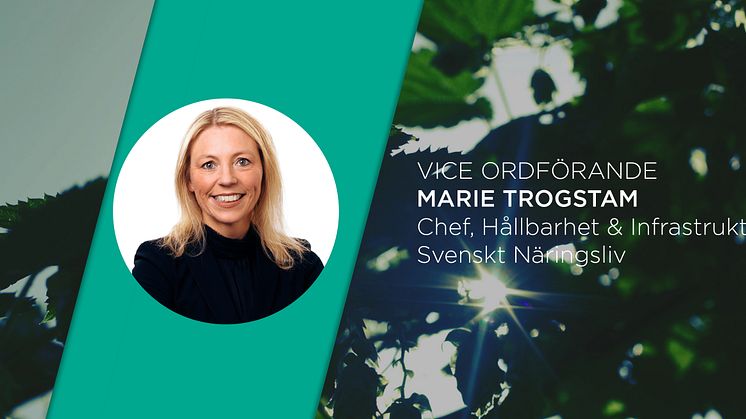 Marie Trogstam ny vice ordförande i ICC Sveriges Hållbarhetskommitté