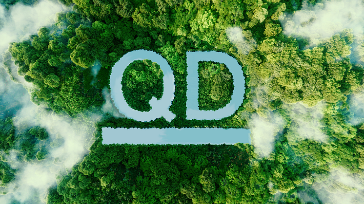 QD-Regnskog-logo 16-9