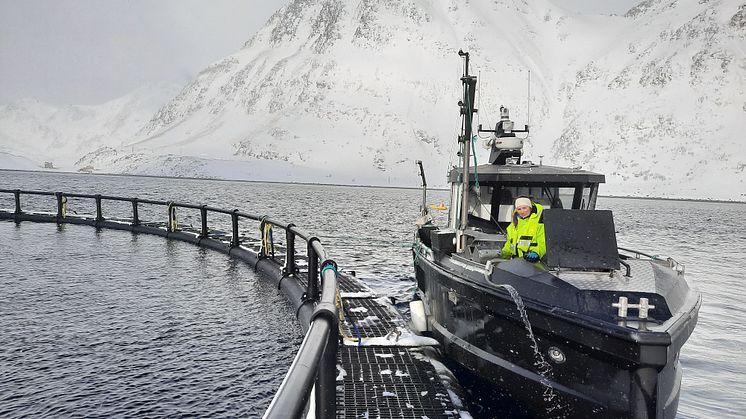 Vår egen feltbåt “MS Louise” gjennomfører prøvetaging for oppdrettsaktører