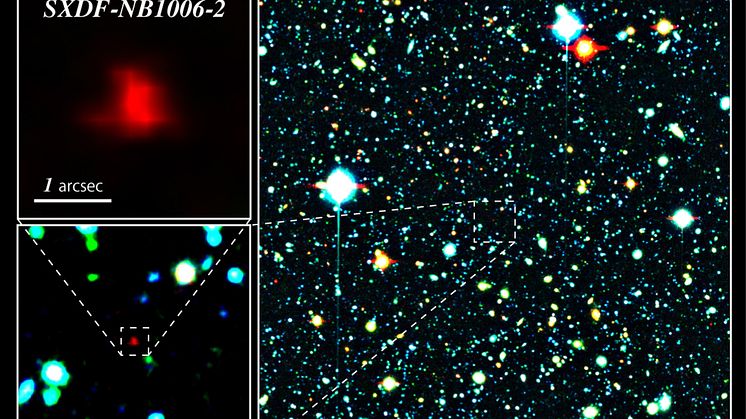 Del av Subaru XMM-Newton Deep Survey Field. Figuren visar uppförstoring av den avlägsna galaxen SXDF-NB1006-2 (rödfärgad). Bild: NAOJ