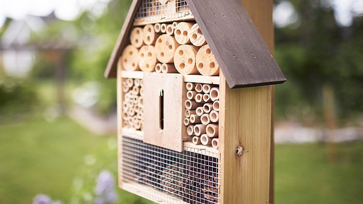 HSB Skåne satsar på pollinatörer och dagvattenhantering