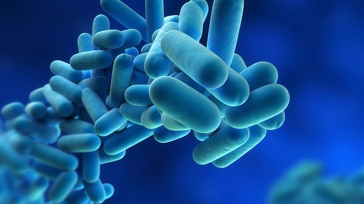 Legionella analyseras nu av Eurofins i Luleå