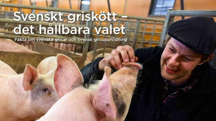 ”Svenskt griskött, det hållbara valet - fakta om svenska grisar och svensk grisuppfödning”