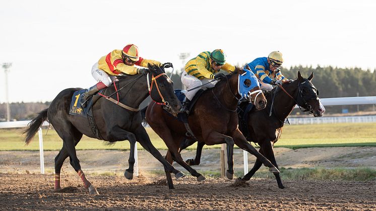 Galopp-premiär inför tomma läktare - men med internationell publik 