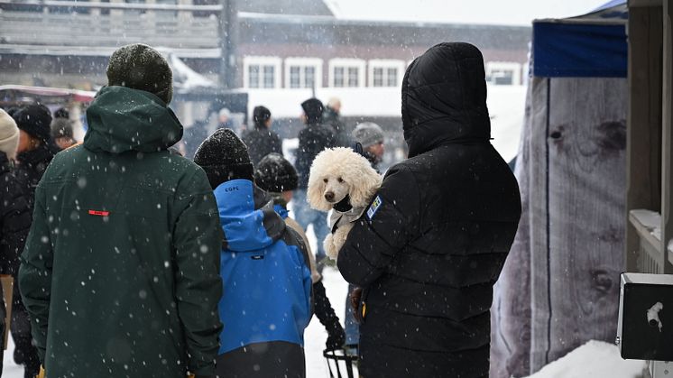  Med över 9000 besökare blev årets Lodge & Lya en riktig folkfest i snöyran