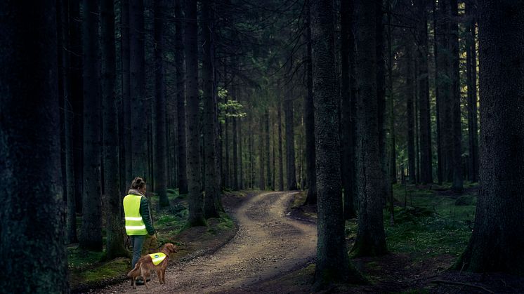 ​Doggy och Scholl går fint ihop!