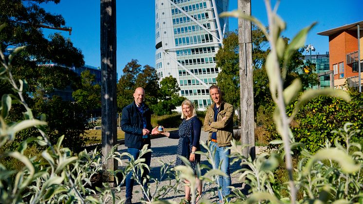 Marcus Johansson, chef för HSB Sundsfastigheter, och biodlarna Eva och Thomas Klevås.