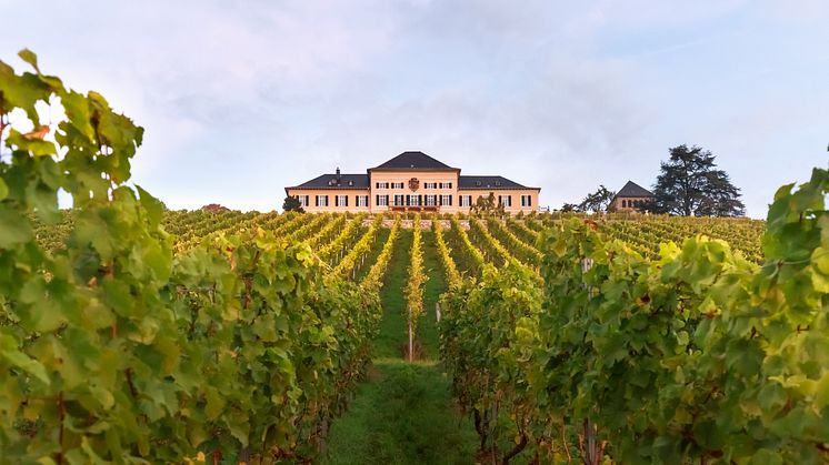 Exklusiv lansering i limiterad utgåva från Schloss Johannisberg