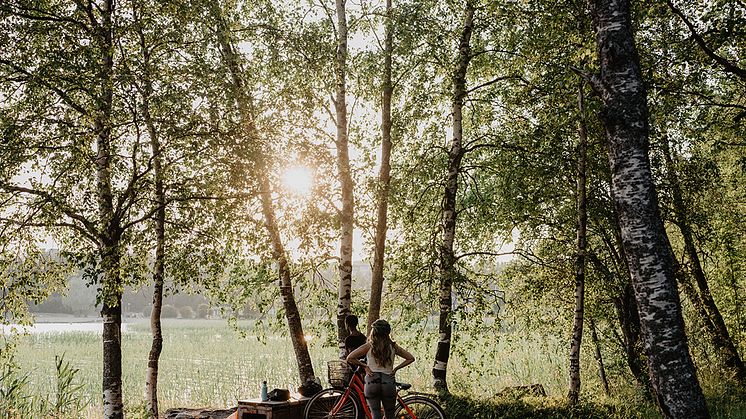 Resultatet i undersökningen Jämlika liv blir underlag för utveckling av folkhälsa i Umeå kommun.