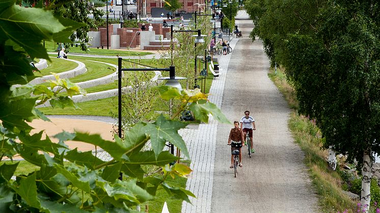 Umeå med i ny satsning på cykel