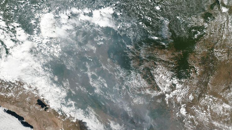 Foto fra NASA af skovbrandene. 