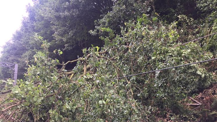 A tree has fallen on the line near University, damaging the overhead wires. Photo from @NetworkRailBHM