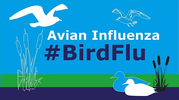 Avian influenza - new housing measures start today