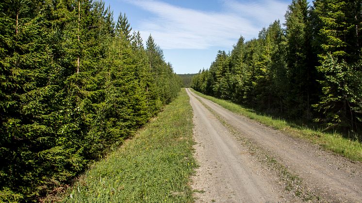 Kapitaltillskott för IsoTimbers fortsatta tillväxt